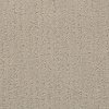 MSL.NATURES.ESSENCE Masland Stainmaster Nature's Essence Carpet
