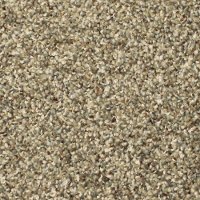 Phenix Stainmaster Canal Street Carpet
