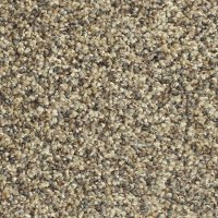 PHN.BOURBON.STREET Phenix Stainmaster Bourbon Street Carpet