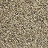 Phenix Stainmaster Bourbon Street Carpet-2