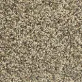 PHN.BLEEKER.STREET.MD Phenix Bleeker Street Carpet