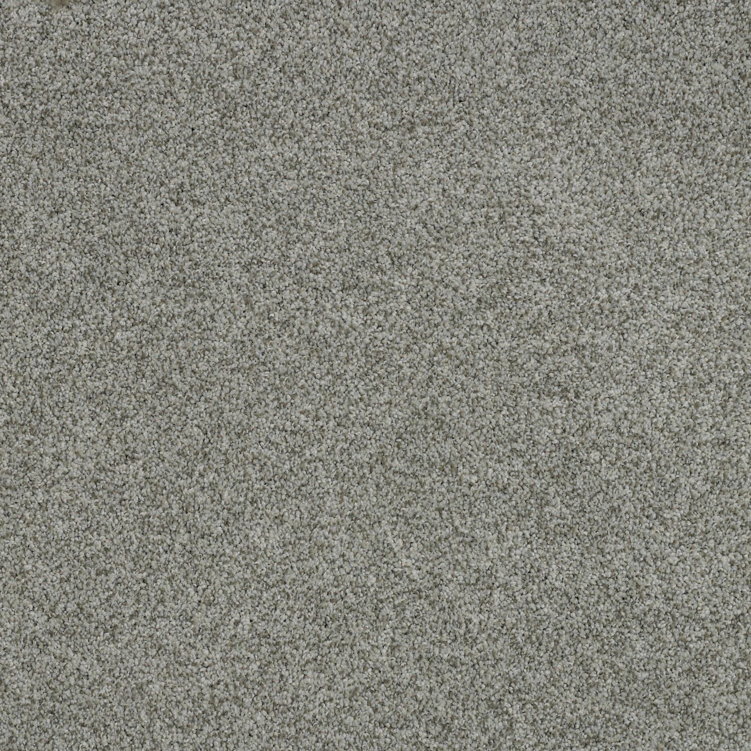 DSW.OLIVER Tuftex Oliver Carpet-1