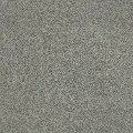 DSW.OLIVER.MD Tuftex Oliver Carpet