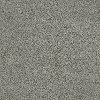 DSW.OLIVER Tuftex Stainmaster Oliver Carpet