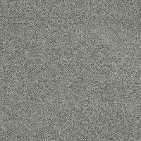 DSW.OLIVER Tuftex Stainmaster Oliver Carpet