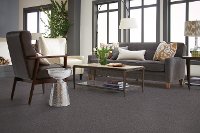 DSW.OLIVER Tuftex Stainmaster Oliver Carpet-2