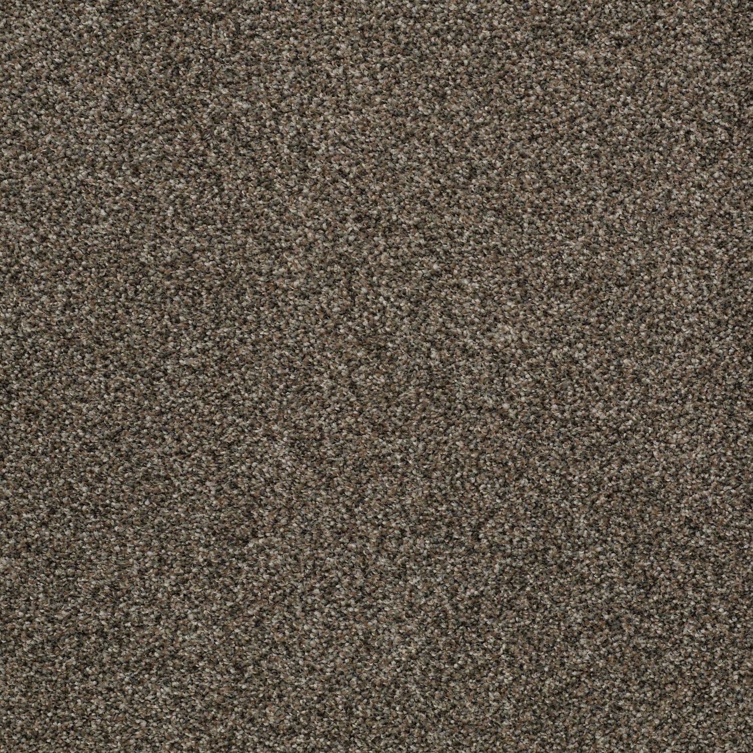 DSW.BEAR Tuftex Bear Carpet-1