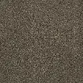 DSW.BEAR.MD Tuftex Bear Carpet