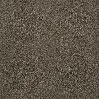 DSW.BEAR Tuftex Bear Carpet