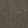 DSW.BEAR Tuftex Stainmaster Bear Carpet