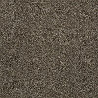 Tuftex Stainmaster Bear Carpet