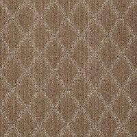 DSW.MELLENNIA Tuftex Stainmaster Mellennia Carpet