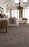Tuftex Stainmaster Mellennia Carpet-2