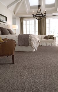 DSW.MELLENNIA Tuftex Stainmaster Mellennia Carpet-2