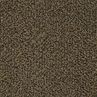 Tuftex Stainmaster Buddy Carpet