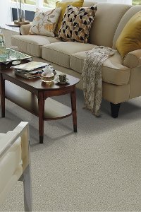 DSW.BUDDY Tuftex Stainmaster Buddy Carpet-2