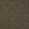 DSW.DEXTER Tuftex Stainmaster Dexter Carpet
