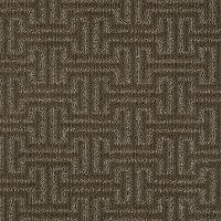 DSW.DEXTER Tuftex Stainmaster Dexter Carpet