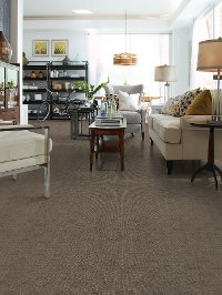DSW.DEXTER Tuftex Stainmaster Dexter Carpet-2