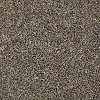 Shaw Rio Carpet