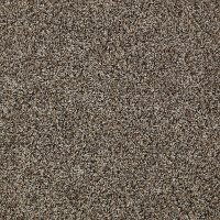 Shaw Rio Carpet