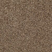 Mohawk Domestic Perfection Carpet