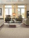 Mohawk Domestic Perfection Carpet-2