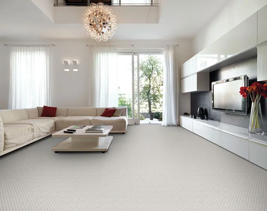 BRE.HARDAWAY Dixie Hardaway Carpet-2