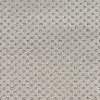 BRE.HARDAWAY Dixie Stainmaster Hardaway Carpet