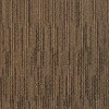 BRE.ACTION Dixie Stainmaster Action Carpet
