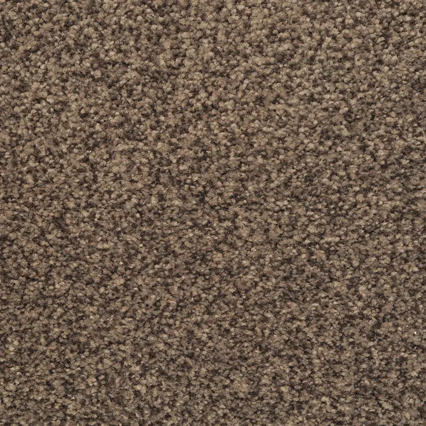 BRE.BASHAN Dixie Bashan Carpet-1