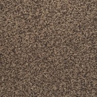 BRE.BASHAN Dixie Bashan Carpet