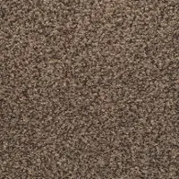 BRE.BASHAN Dixie Bashan Carpet