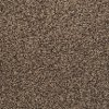 BRE.BASHAN Dixie Stainmaster Bashan Carpet
