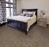 Dixie Stainmaster Bashan Carpet-2