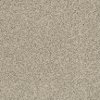 BRE.HIDDEN.TALENT Dixie Stainmaster Hidden Talent Carpet