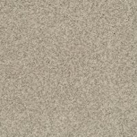 Dixie Stainmaster Hidden Talent Carpet