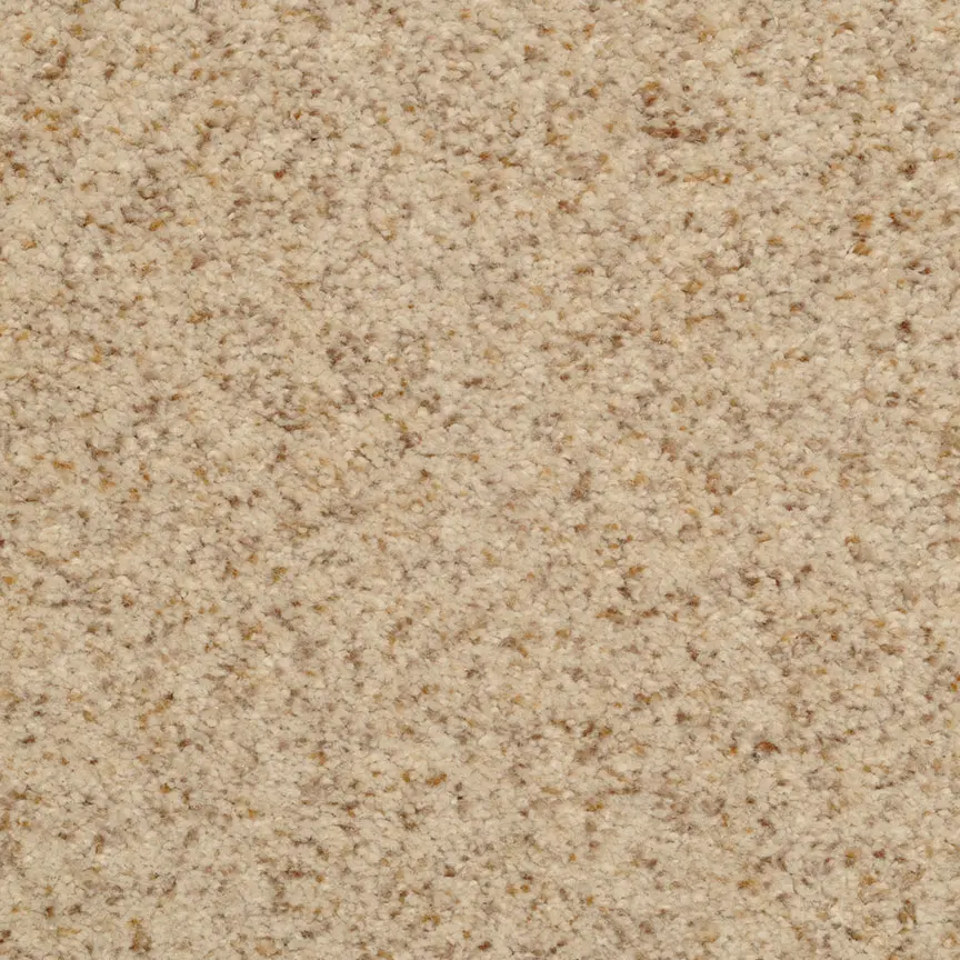 BRE.OREGON.MIST Dixie Oregon Mist Carpet-1