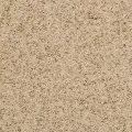 BRE.OREGON.MIST Dixie Oregon Mist Carpet