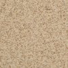 BRE.OREGON.MIST Dixie Stainmaster Oregon Mist Carpet