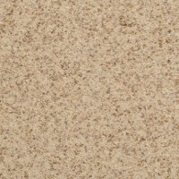 Dixie Stainmaster Oregon Mist Carpet