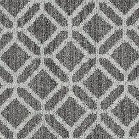 Tuftex Stainmaster Young Fun Carpet