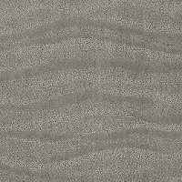 Tuftex Stainmaster Beach Daze Carpet
