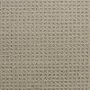 Dixie Stainmaster Marvel Carpet