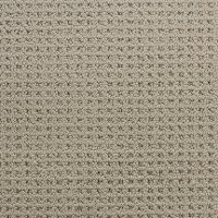 Dixie Stainmaster Marvel Carpet