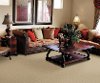 Dixie Stainmaster Marvel Carpet-2