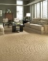 Tuftex Pershing Square Carpet-2