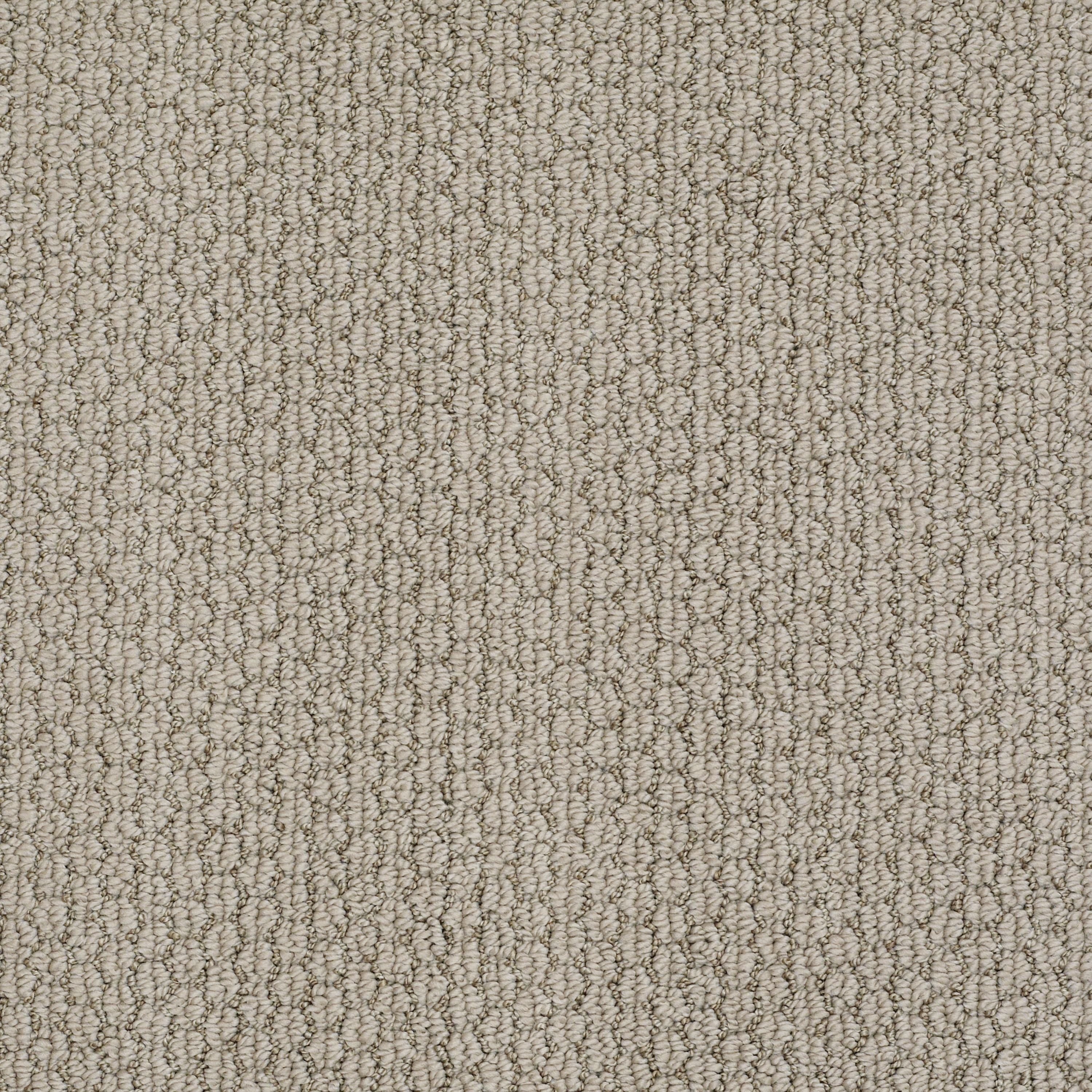 DSW.MELROSE.HILL Tuftex Melrose Hill Carpet-1