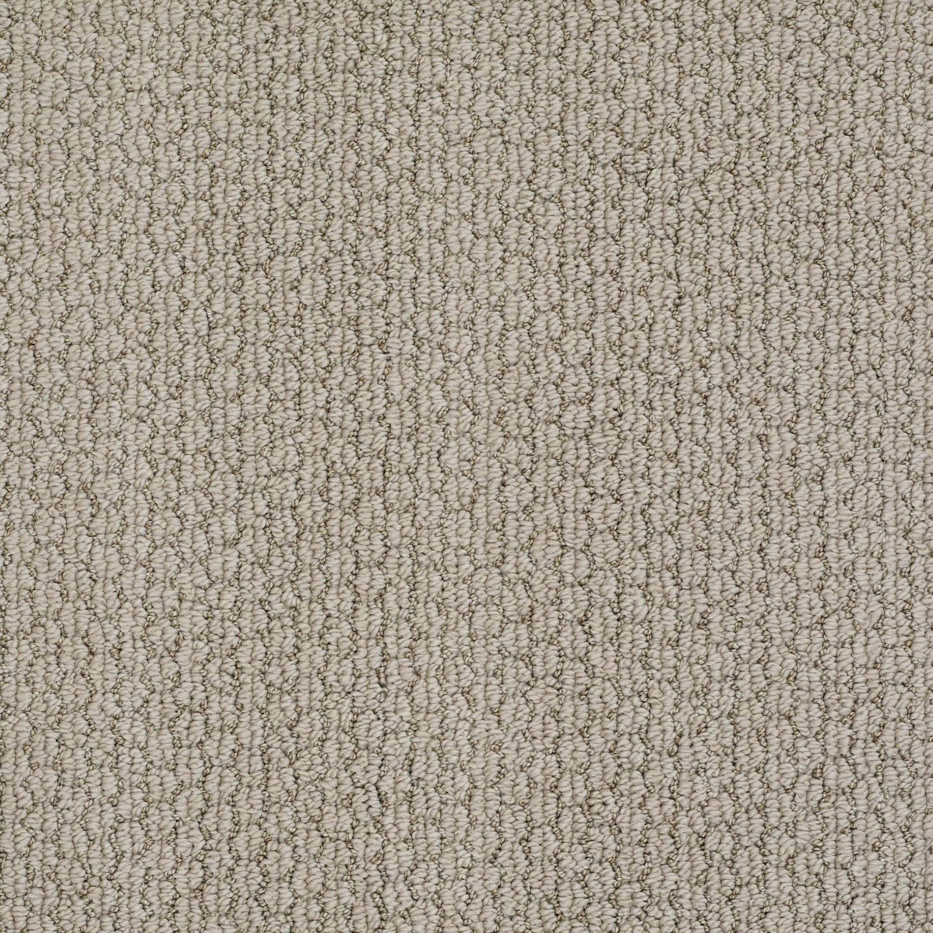 DSW.MELROSE.HILL Tuftex Melrose Hill Carpet-1