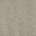 DSW.MELROSE.HILL.MD Tuftex Melrose Hill Carpet
